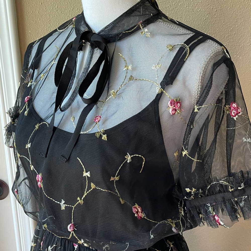 Liquorish floral Embroidered Mesh Dress with Slip - Picture 5 of 5